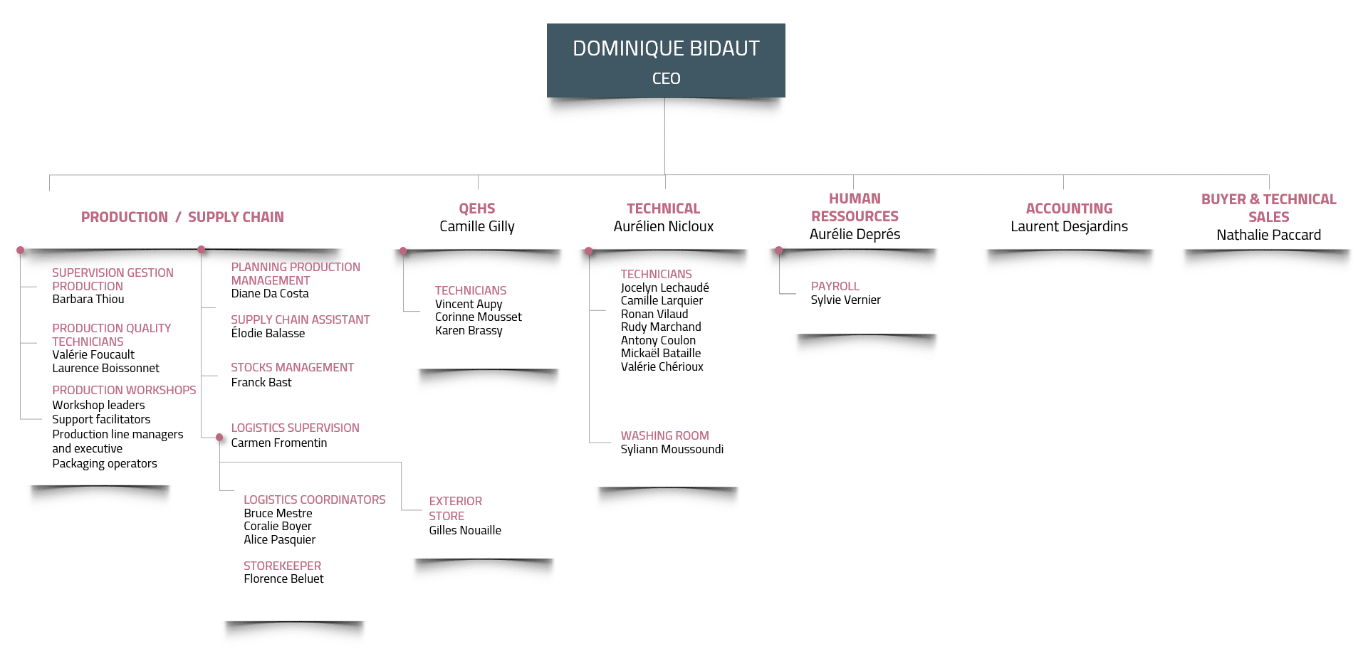 Organigramme Juin 2024